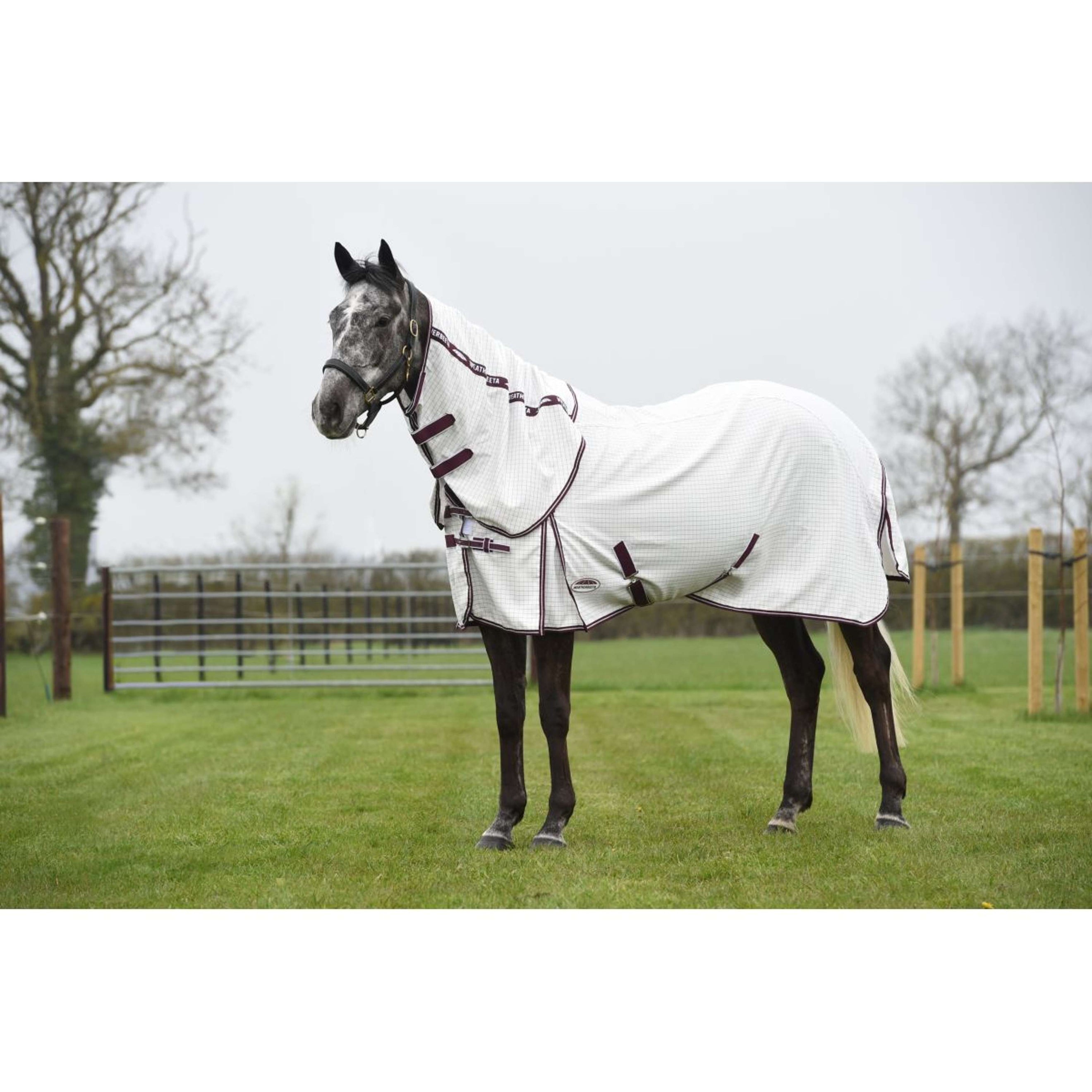 WeatherBeeta Coperta Estiva Hybrid Seasons Combo Neck White/Maroon