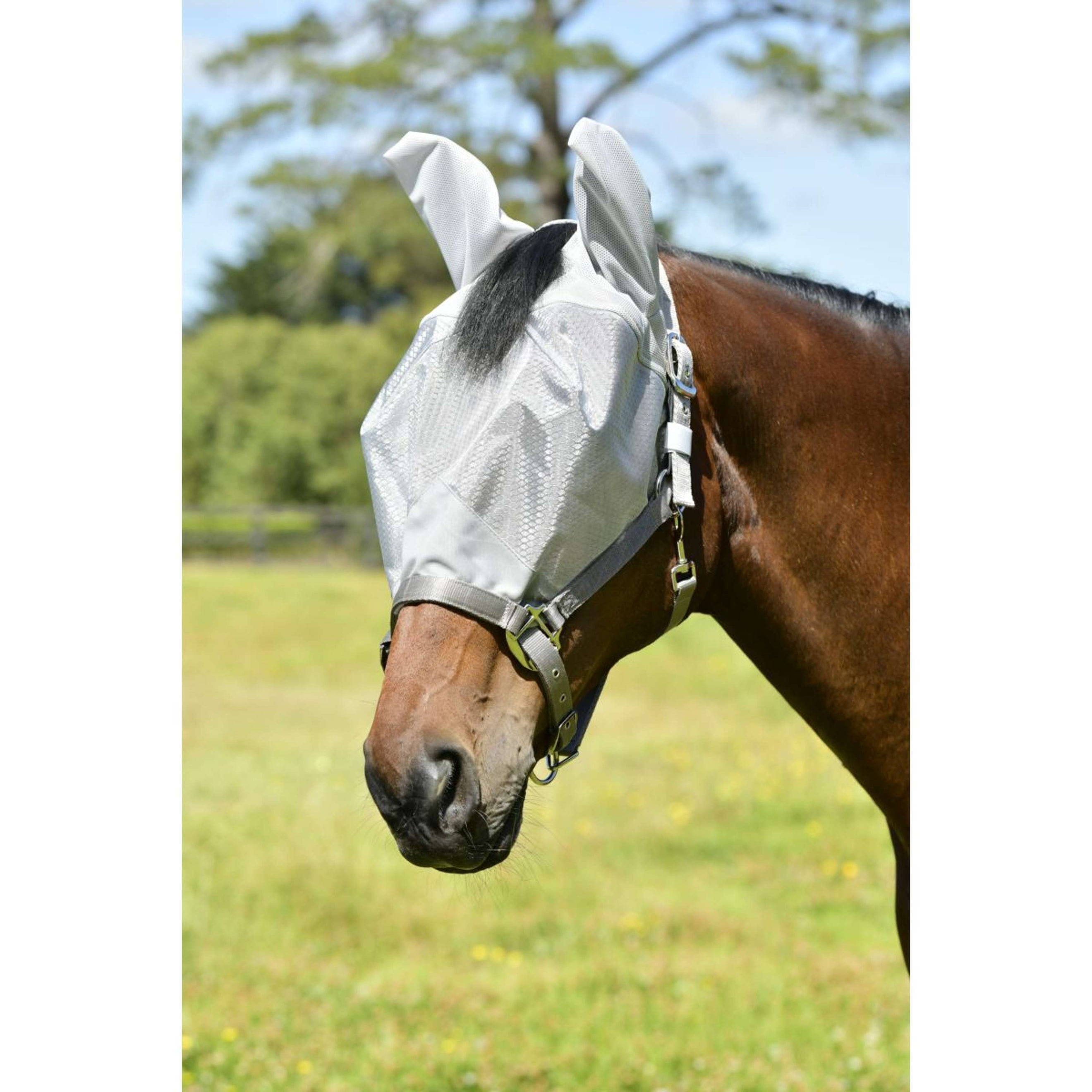 WeatherBeeta Maschera per Mosche ComFiTec Hexi Dual Argento WeatherBeeta Maschera per Mosche ComFiTec Hexi Dual Argento