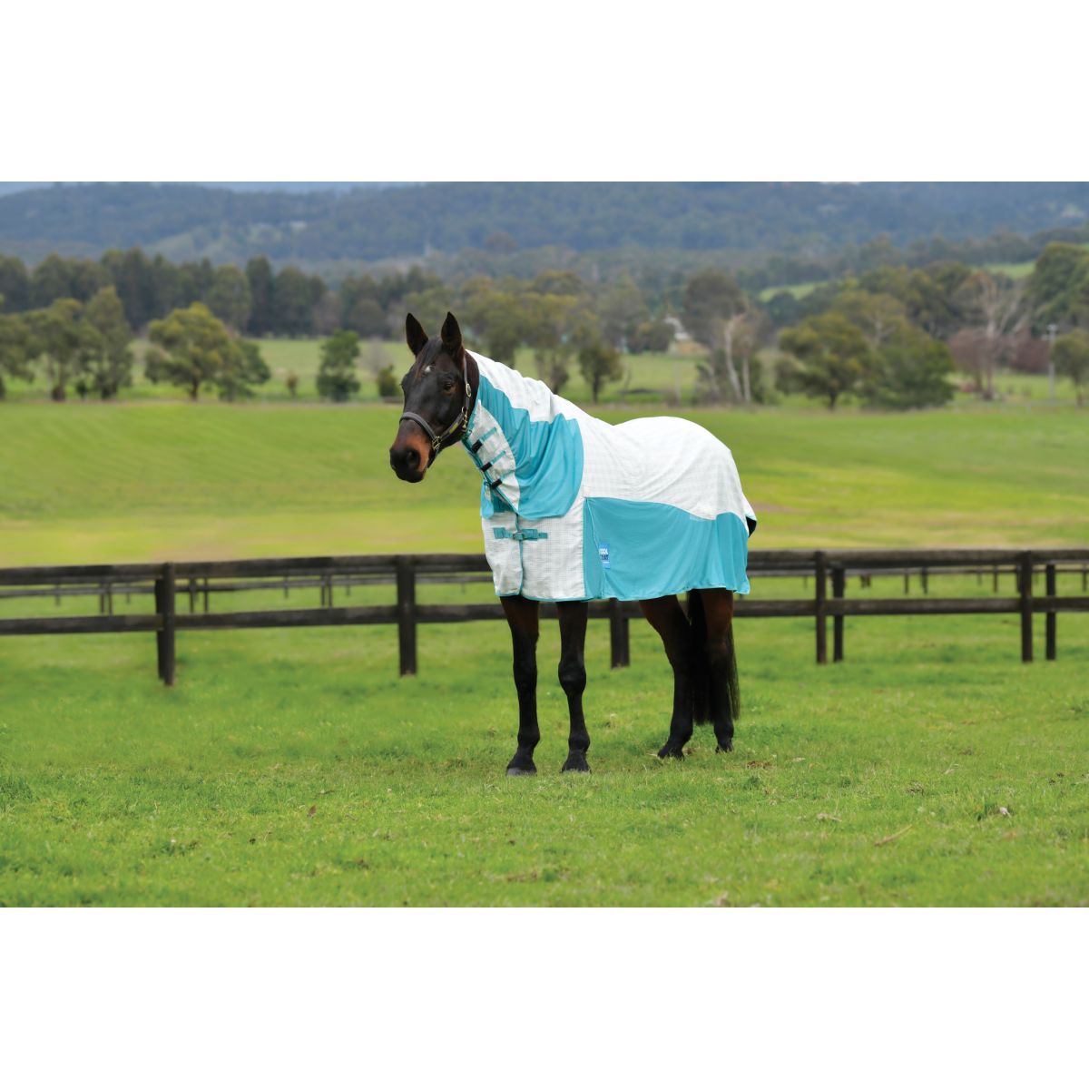 WeatherBeeta Cooler Cotton Airstream II Detach-A-Neck Bianco/menta