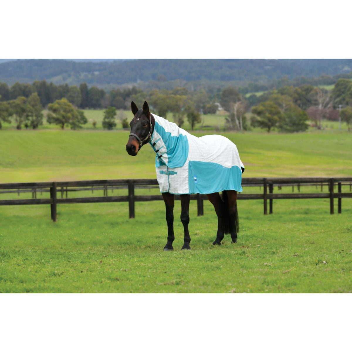 WeatherBeeta Cooler Cotton Airstream II Detach-A-Neck Bianco/menta