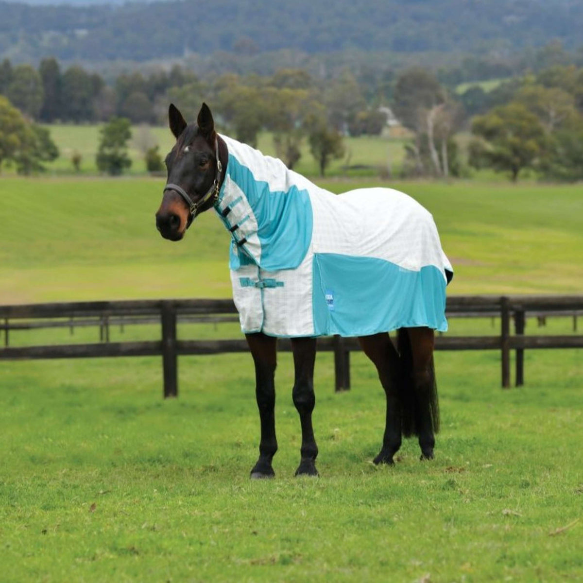 WeatherBeeta Cooler Cotton Airstream II Detach-A-Neck Bianco/menta