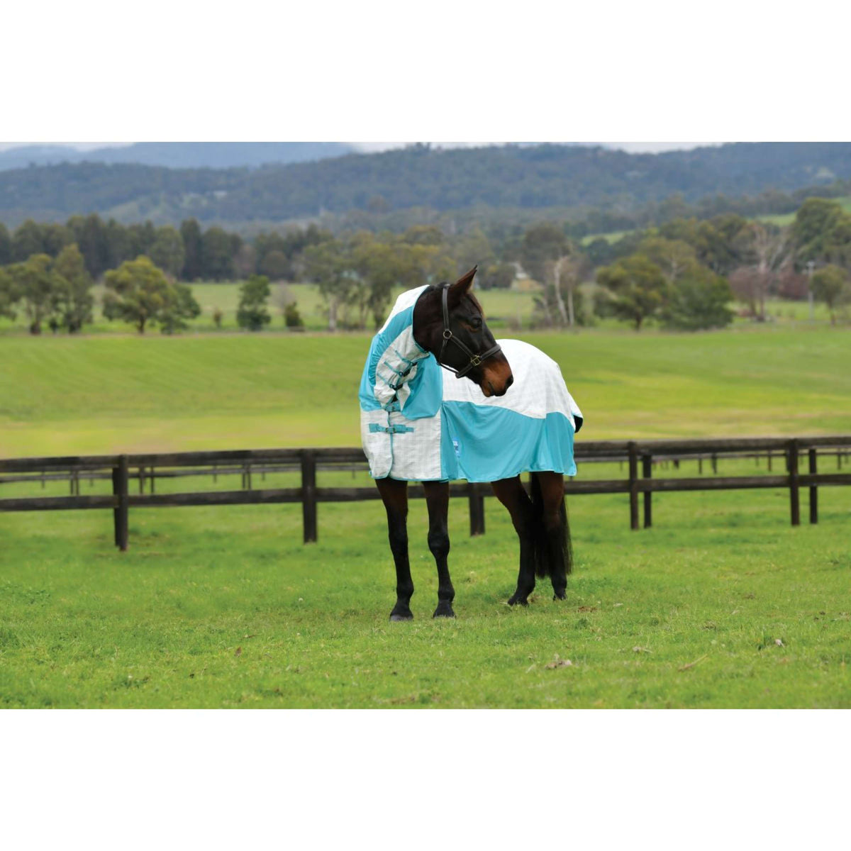 WeatherBeeta Cooler Cotton Airstream II Detach-A-Neck Bianco/menta