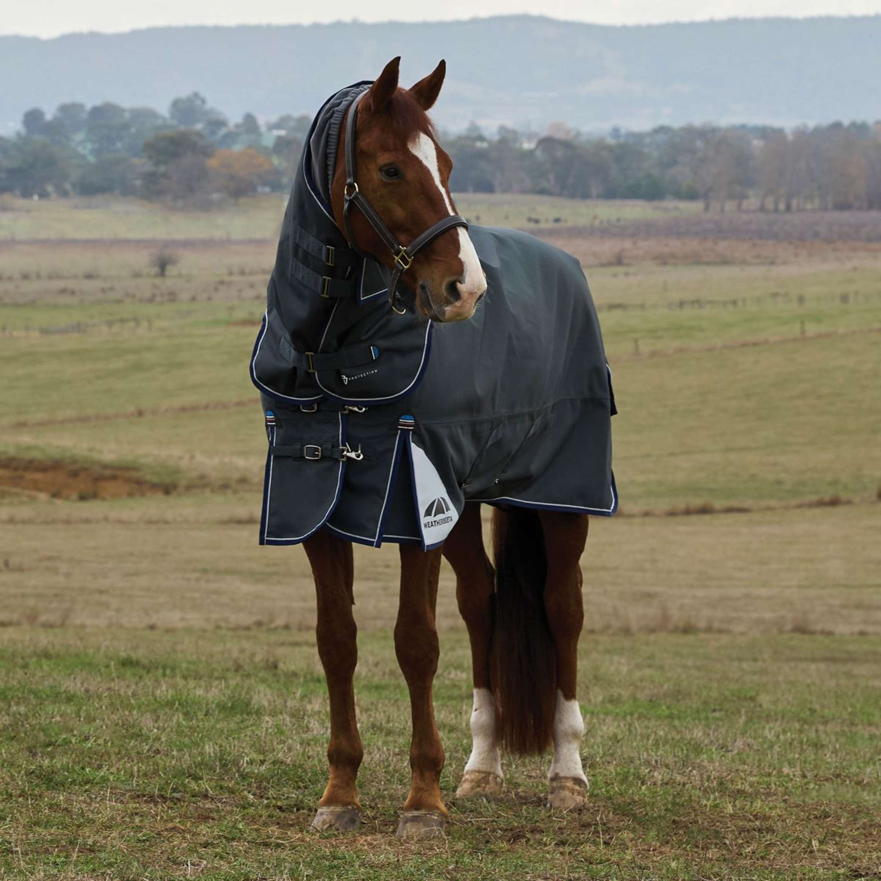 WeatherBeeta ComFiTec Ultra Turnout Detach-A-Neck 360g Carbone