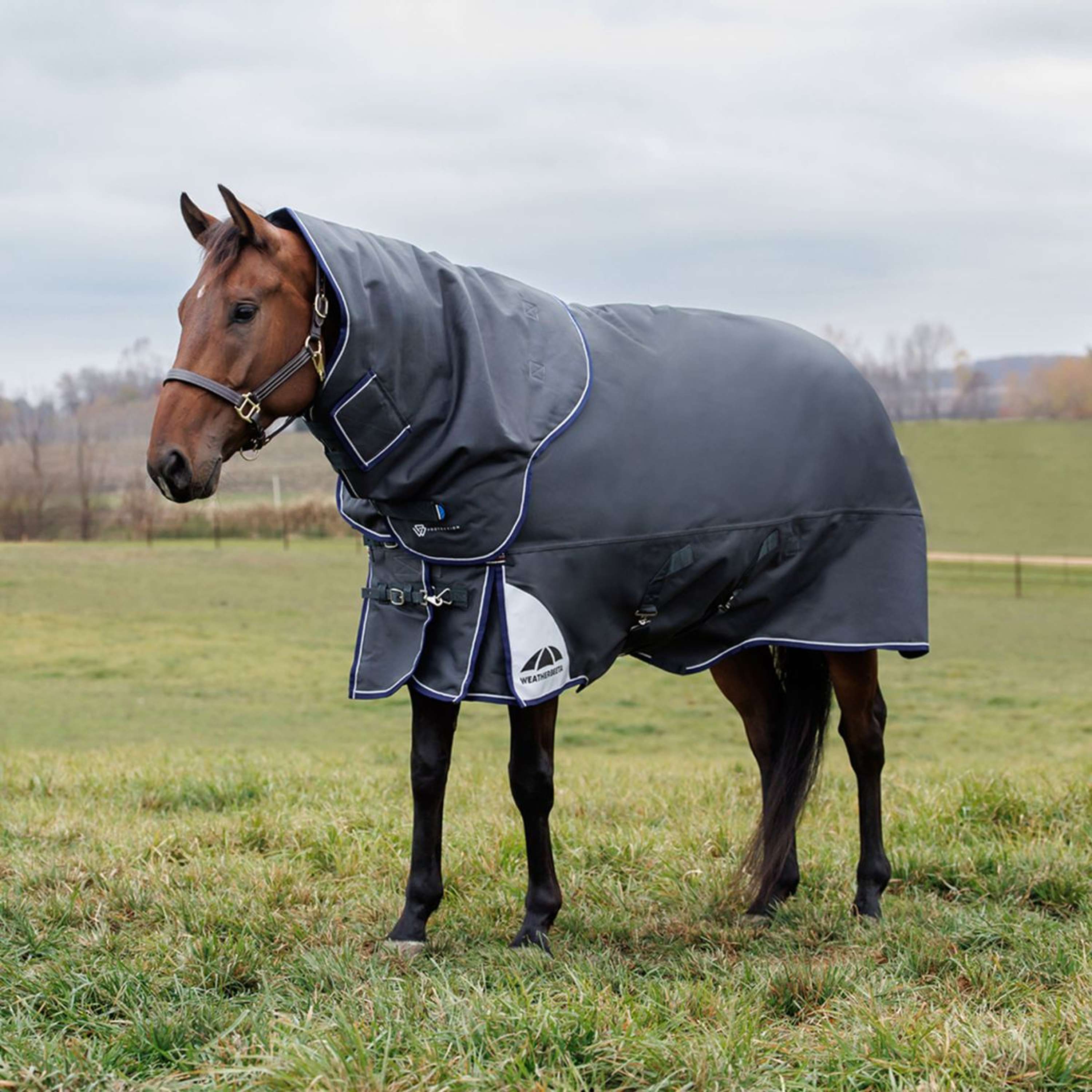 WeatherBeeta ComFiTec Ultra Turnout Detach-A-Neck 360g Carbone
