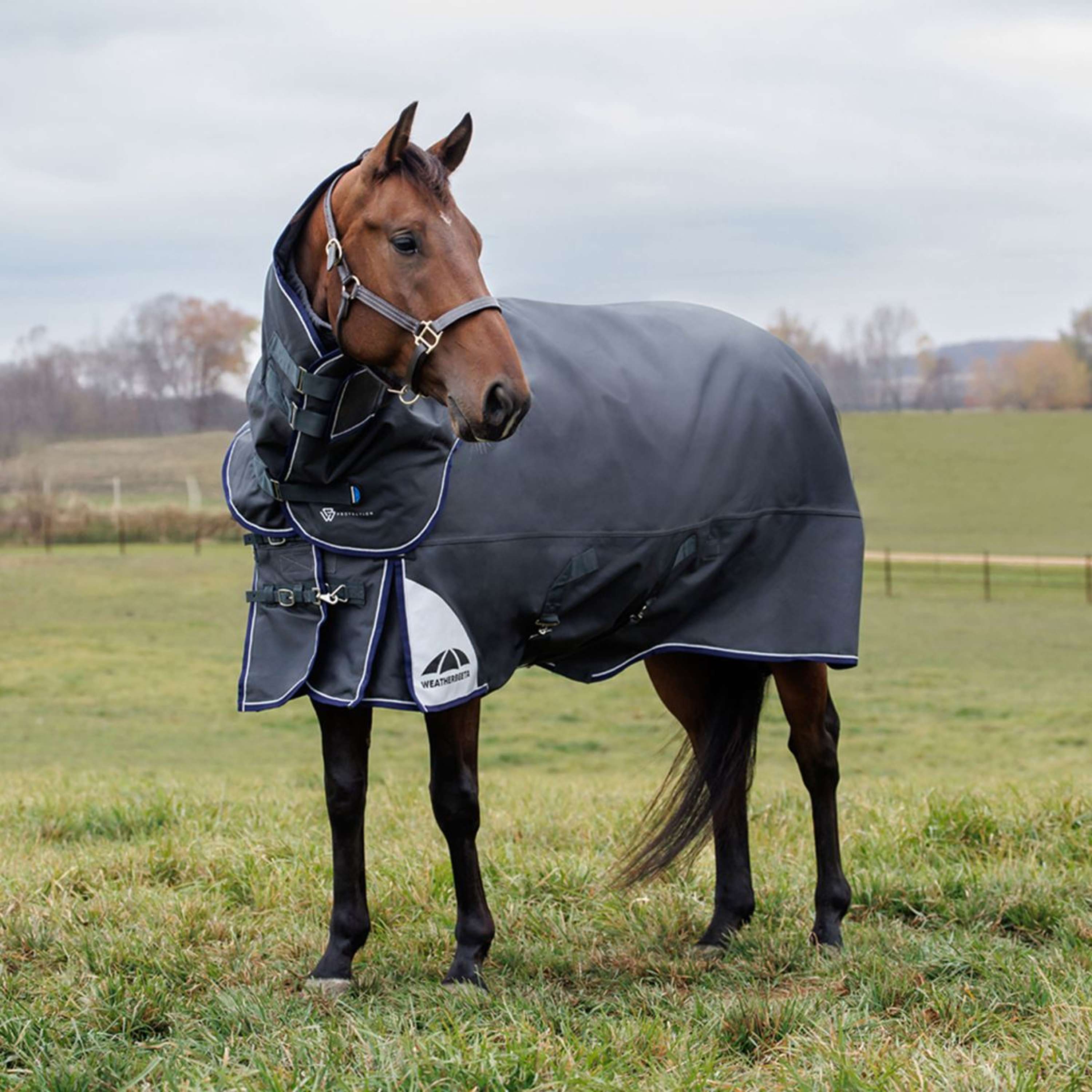WeatherBeeta ComFiTec Ultra Turnout Detach-A-Neck 360g Carbone