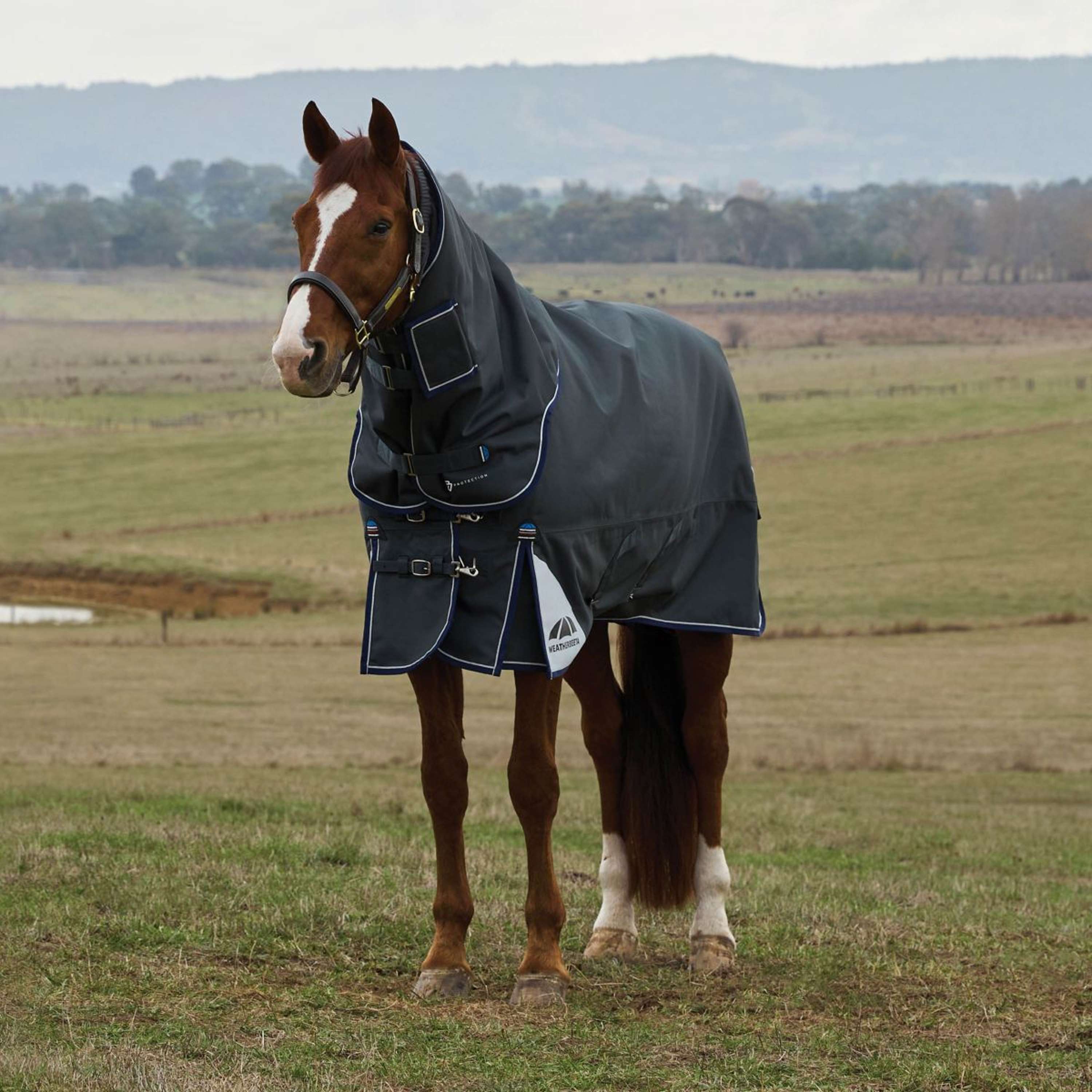WeatherBeeta ComFiTec Ultra Turnout Detach-A-Neck 360g Carbone
