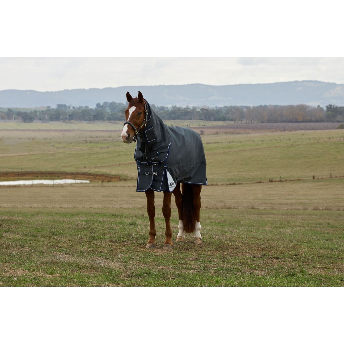 Weatherbeeta Comfitec Ultra Turnout Detach-A-Neck 100g Carbone