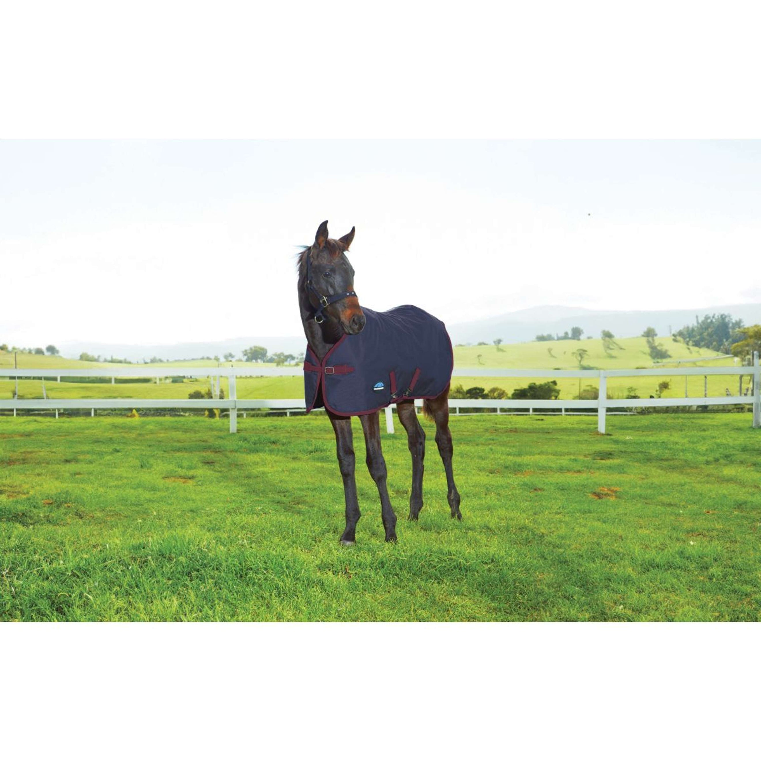 WeatherBeeta Coperta per Puledro 1200D Standard Neck 220 g Navy/Burgundy WeatherBeeta Coperta per Puledro 1200D Standard Neck 220 g Navy/Burgundy