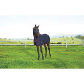 WeatherBeeta Coperta per Puledro 1200D Standard Neck 220 g Navy/Burgundy