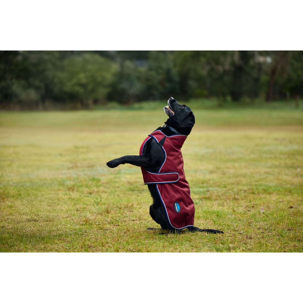 WeatherBeeta Coperta per Cani ComFiTec Premier Deluxe Waterproof Borgogna/Marina