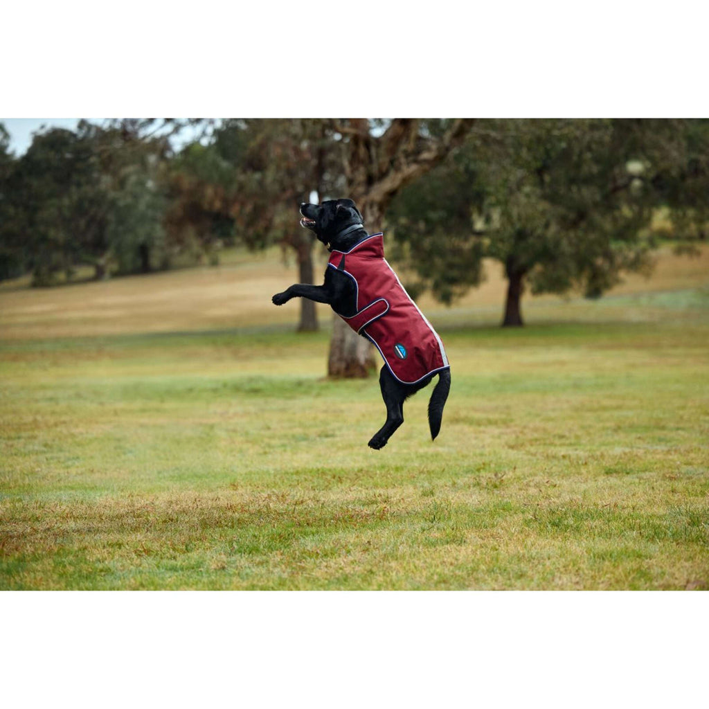 WeatherBeeta Coperta per Cani ComFiTec Premier Deluxe Waterproof Borgogna/Marina