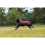 Weatherbeeta Coperta per Cani Comfitec Premier Deluxe Waterproof Borgogna/Marina