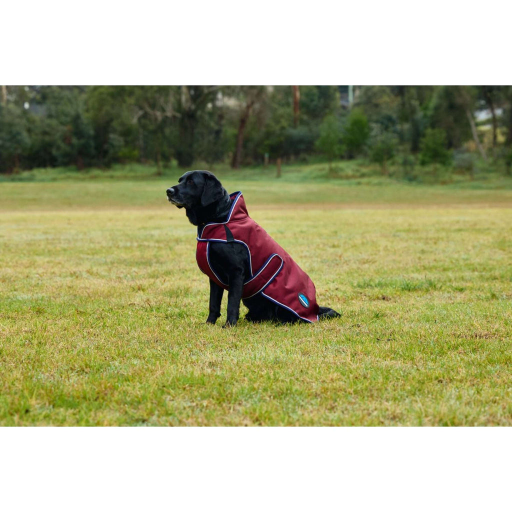 WeatherBeeta Coperta per Cani ComFiTec Premier Deluxe Waterproof Borgogna/Marina