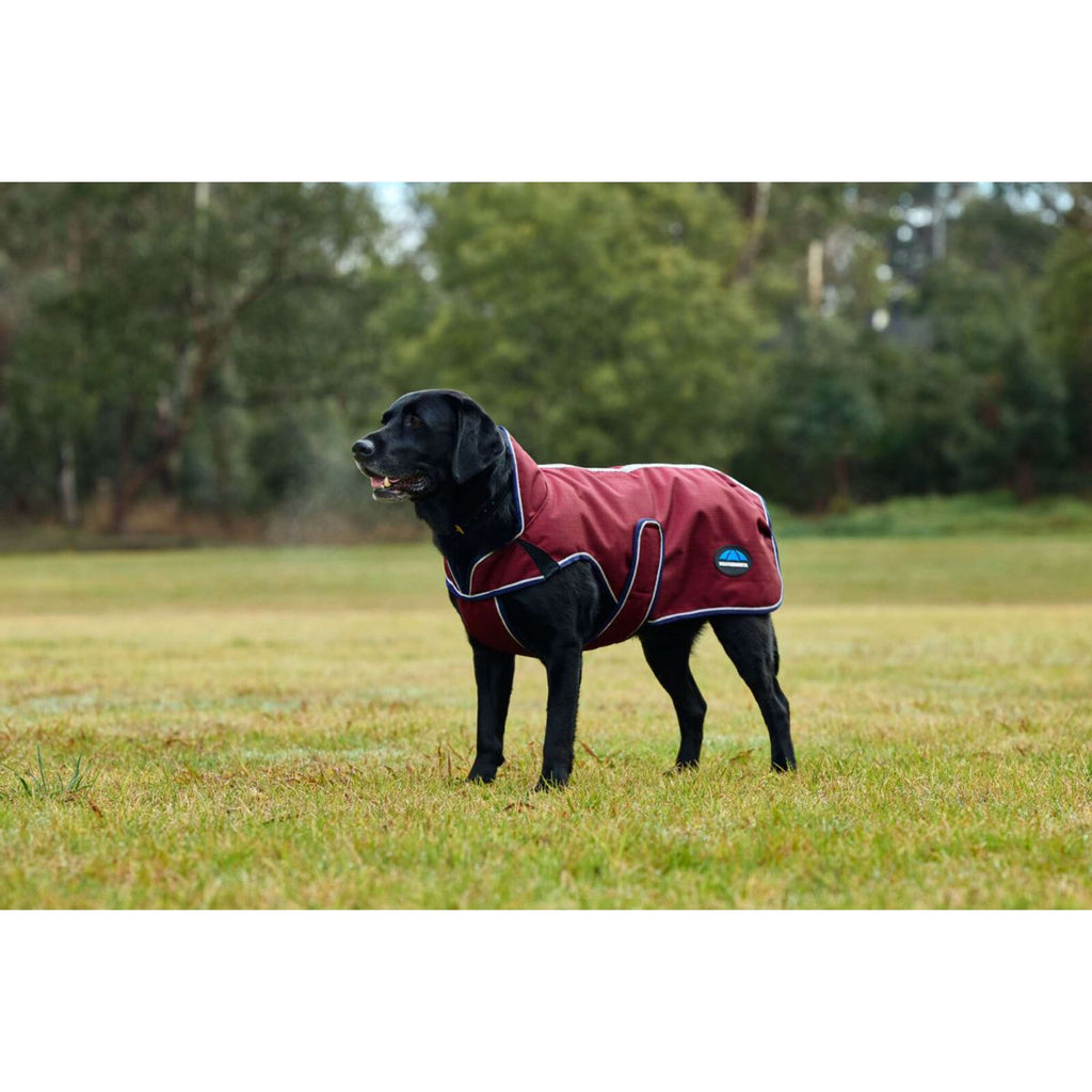 WeatherBeeta Coperta per Cani ComFiTec Premier Deluxe Waterproof Borgogna/Marina