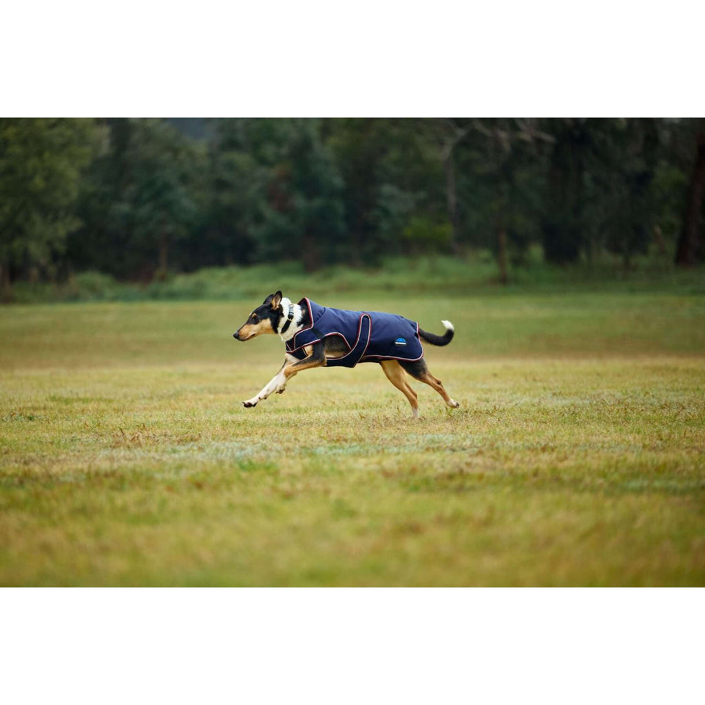 WeatherBeeta Coperta per Cani ComFiTec Premier Deluxe Waterproof Navy/Burgundy