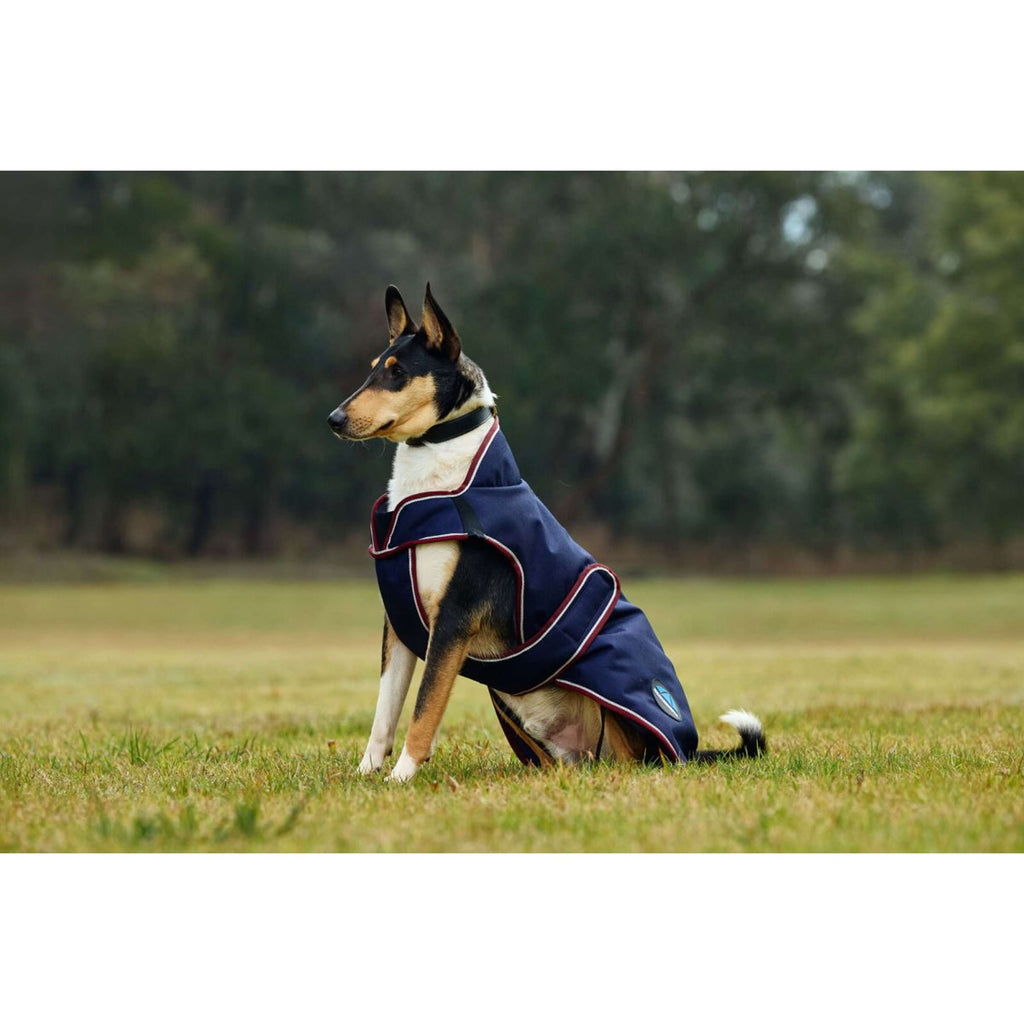 WeatherBeeta Coperta per Cani ComFiTec Premier Deluxe Waterproof Navy/Burgundy