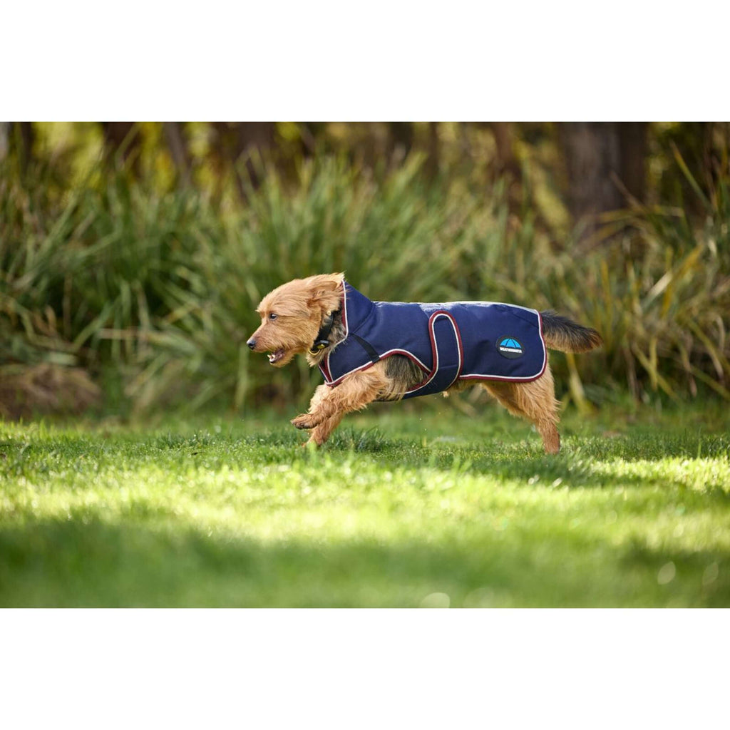 WeatherBeeta Coperta per Cani ComFiTec Premier Deluxe Waterproof Navy/Burgundy