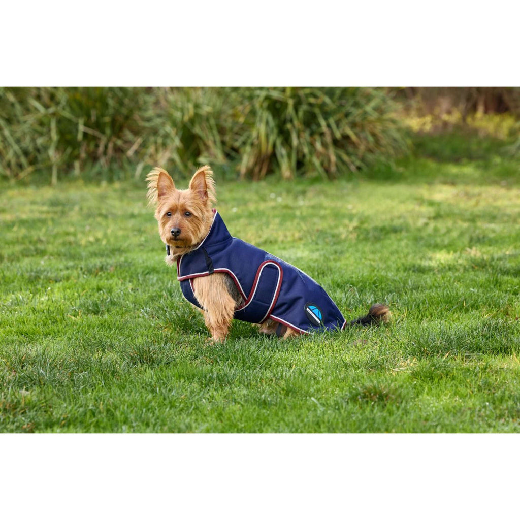 WeatherBeeta Coperta per Cani ComFiTec Premier Deluxe Waterproof Navy/Burgundy