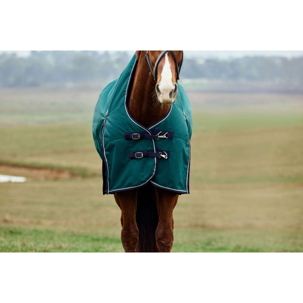 Weatherbeeta Comfitec Plus Dynamic Turnout High Neck 220 g Forest Green/Navy
