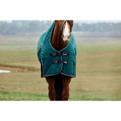 Weatherbeeta Comfitec Plus Dynamic Turnout High Neck 220 g Forest Green/Navy