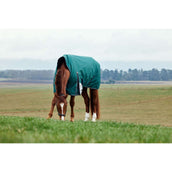 Weatherbeeta Comfitec Plus Dynamic Turnout High Neck 220 g Forest Green/Navy