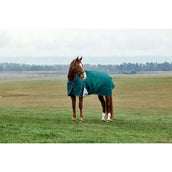 Weatherbeeta Comfitec Plus Dynamic Turnout High Neck 220 g Forest Green/Navy