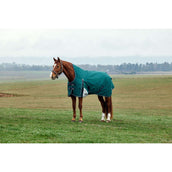 Weatherbeeta Comfitec Plus Dynamic Turnout High Neck 220 g Forest Green/Navy