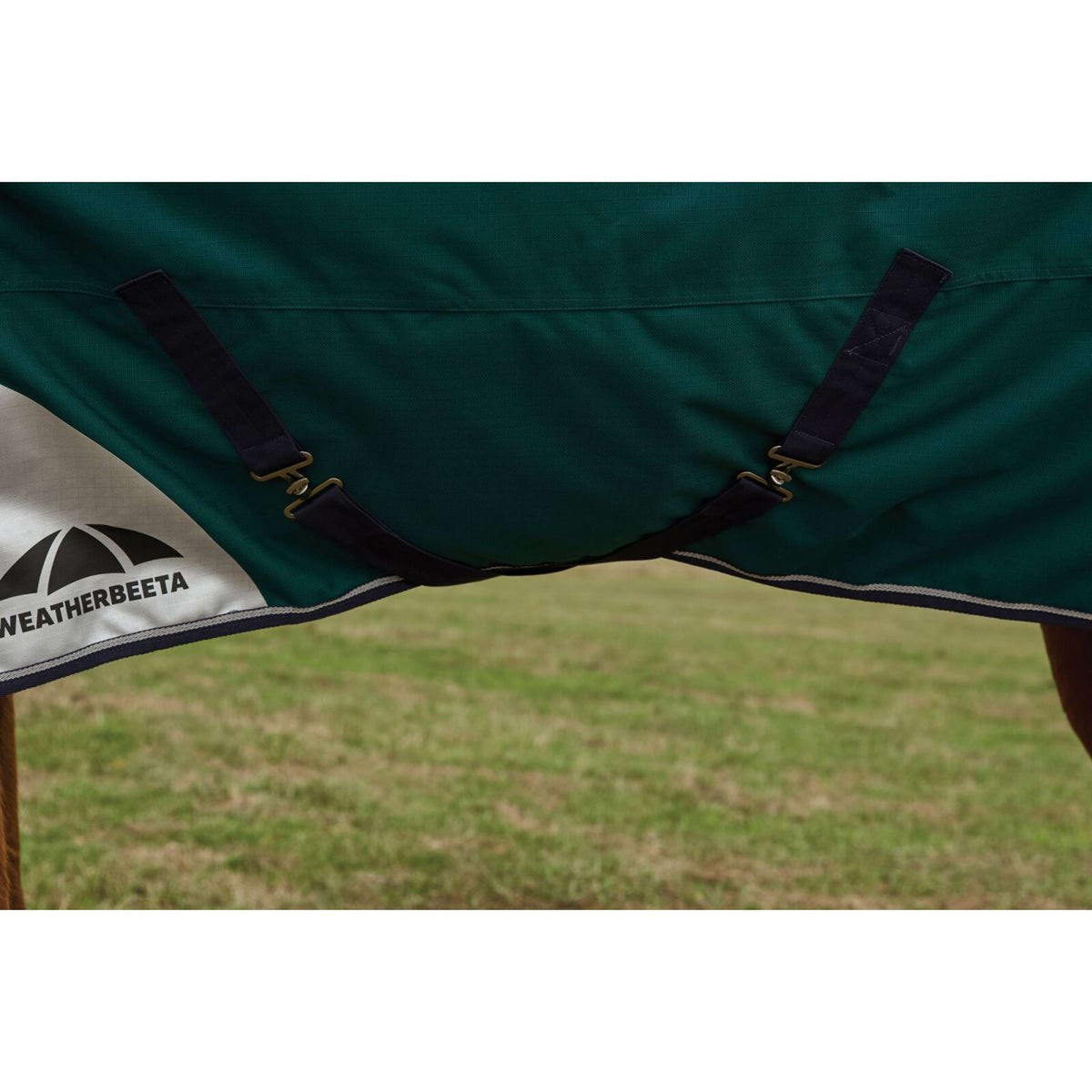 Weatherbeeta Comfitec Plus Dynamic Turnout High Neck 220 g Forest Green/Navy