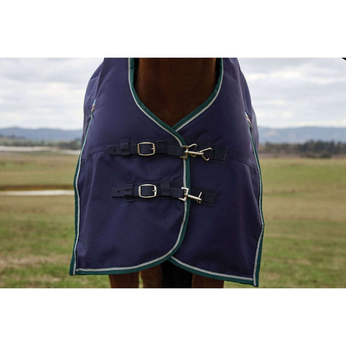 Weatherbeeta Comfitec Plus Dynamic Turnout High Neck 220 g Navy/Forest Green