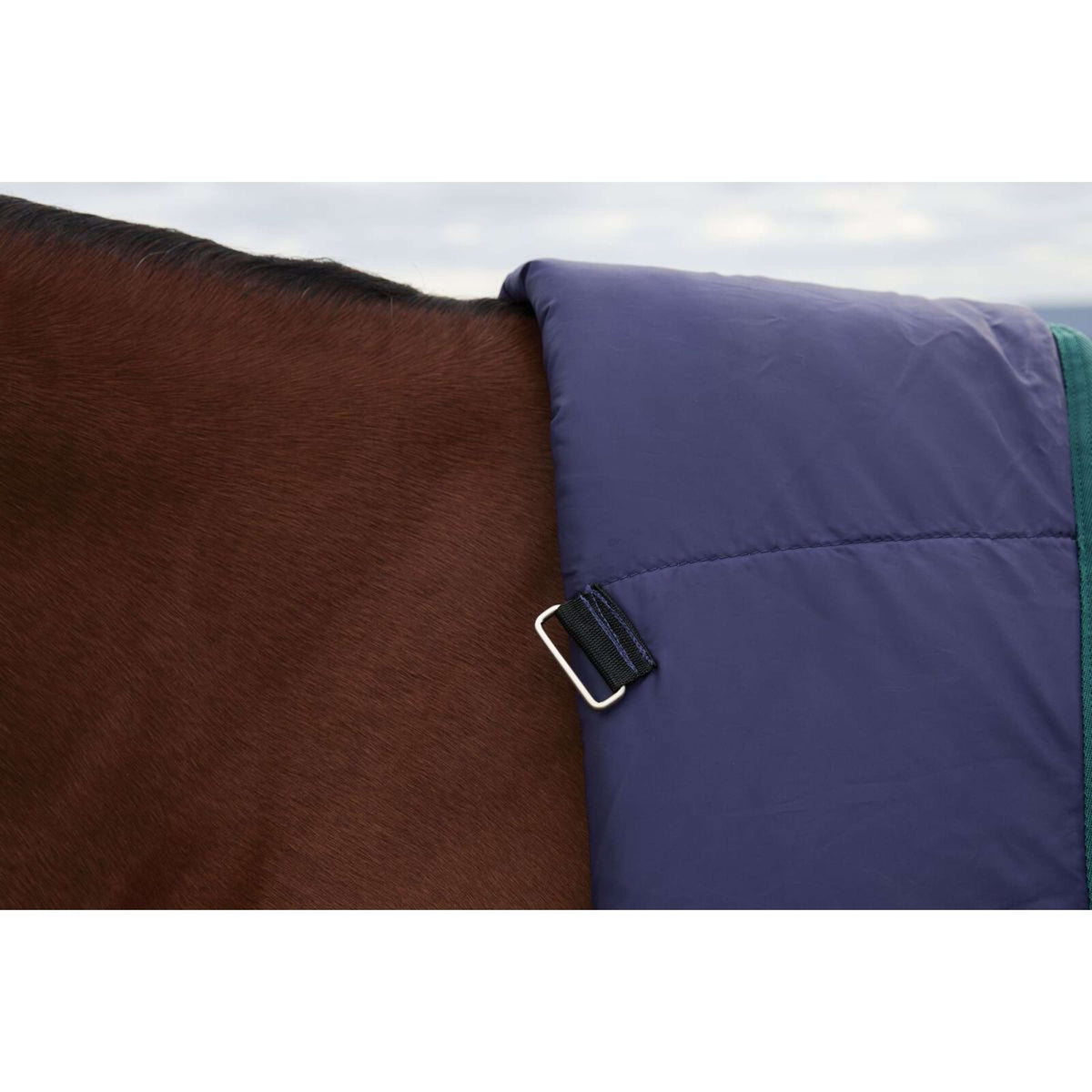 Weatherbeeta Comfitec Plus Dynamic Turnout High Neck 220 g Navy/Forest Green