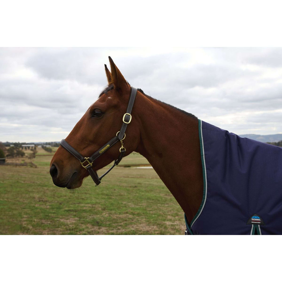 Weatherbeeta Comfitec Plus Dynamic Turnout High Neck 220 g Navy/Forest Green