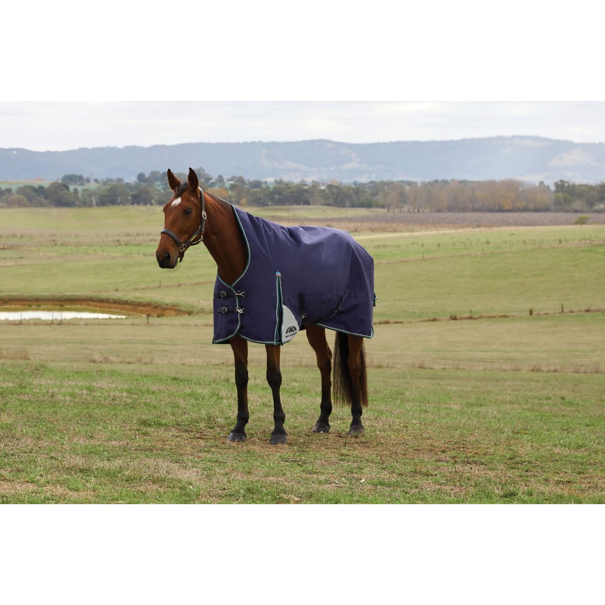 Weatherbeeta Comfitec Plus Dynamic Turnout High Neck 220 g Navy/Forest Green