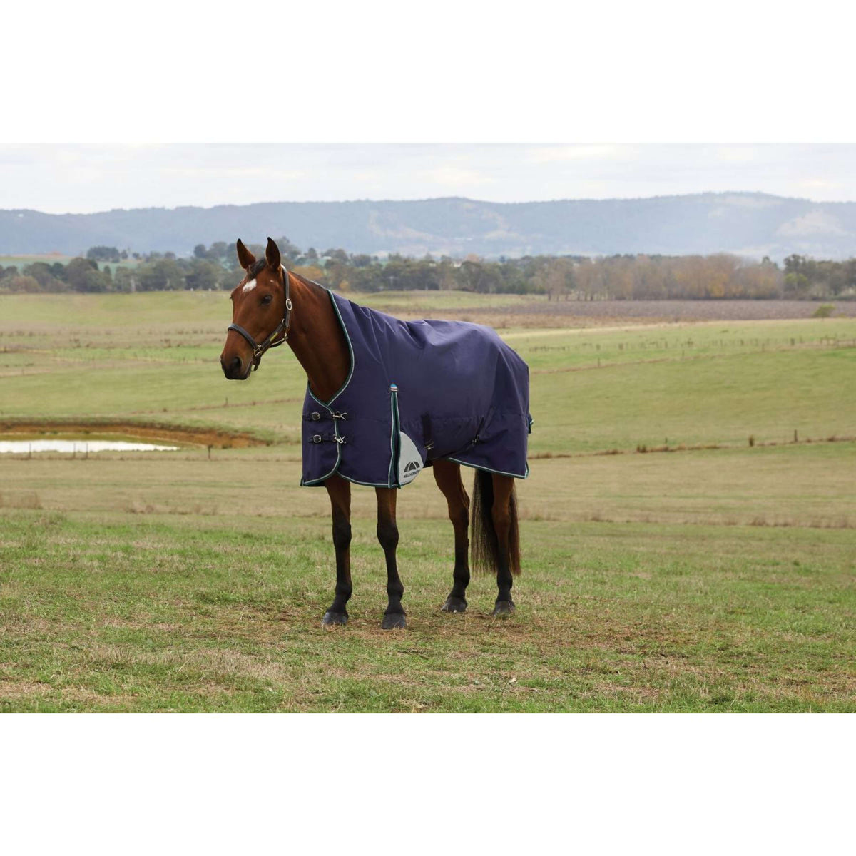 Weatherbeeta Comfitec Plus Dynamic Turnout High Neck 220 g Navy/Forest Green