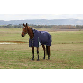 Weatherbeeta Comfitec Plus Dynamic Turnout High Neck 220 g Navy/Forest Green