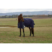 Weatherbeeta Comfitec Plus Dynamic Turnout High Neck 220 g Navy/Forest Green