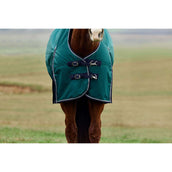 Weatherbeeta Comfitec Plus Dynamic Turnout 220 g Forest Green/Navy