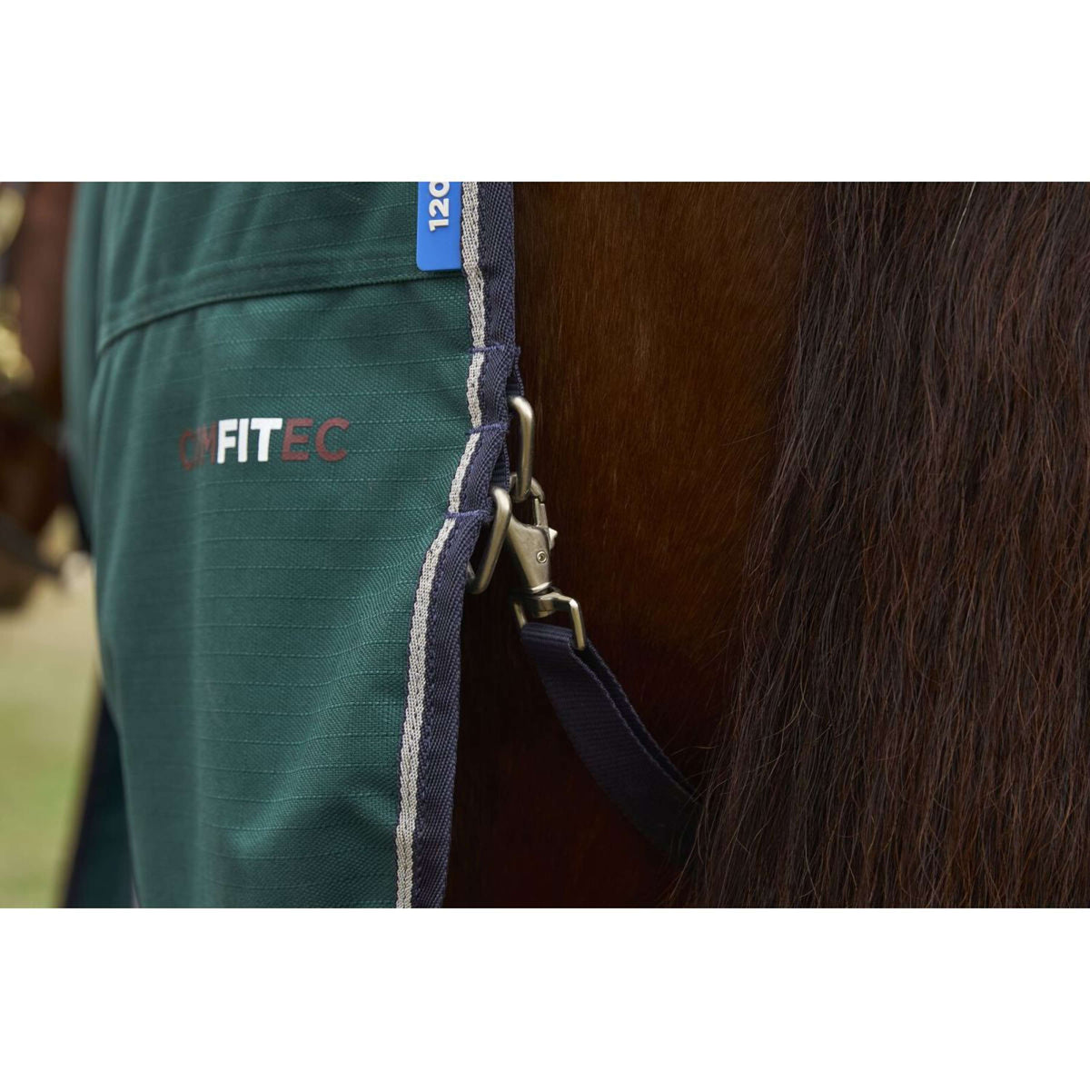 Weatherbeeta Comfitec Plus Dynamic Turnout 220 g Forest Green/Navy
