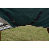 Weatherbeeta Comfitec Plus Dynamic Turnout 220 g Forest Green/Navy