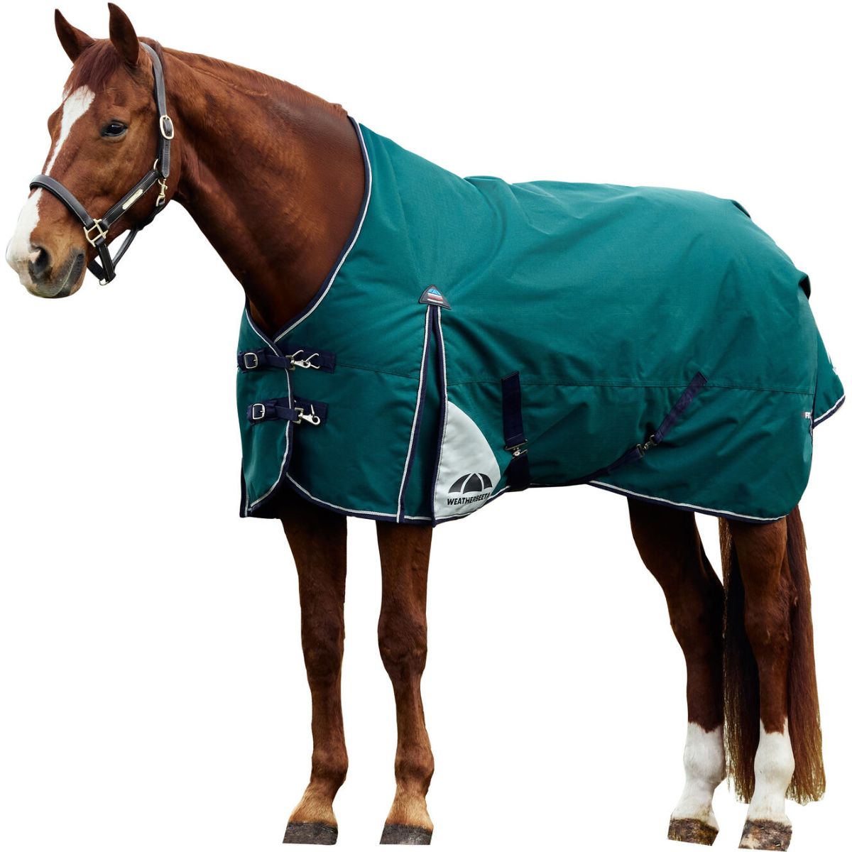 Weatherbeeta Comfitec Plus Dynamic Turnout 220 g Forest Green/Navy