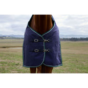 Weatherbeeta Comfitec Plus Dynamic Turnout 220 g Navy/Forest Green
