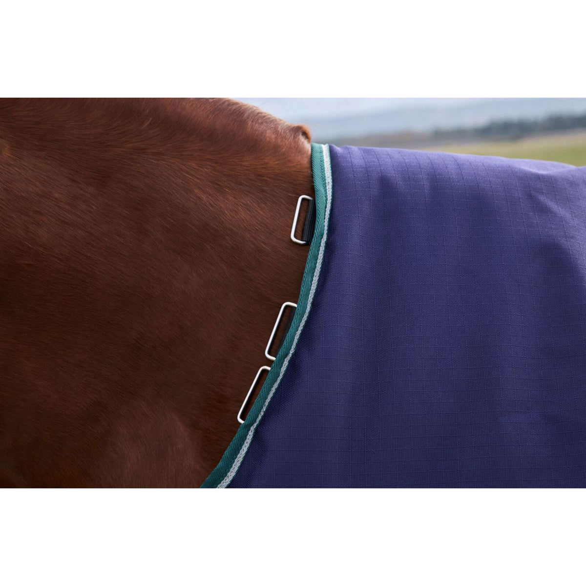 Weatherbeeta Comfitec Plus Dynamic Turnout 220 g Navy/Forest Green