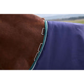 Weatherbeeta Comfitec Plus Dynamic Turnout 220 g Navy/Forest Green