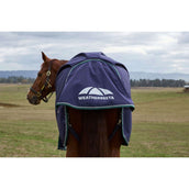 Weatherbeeta Comfitec Plus Dynamic Turnout 220 g Navy/Forest Green