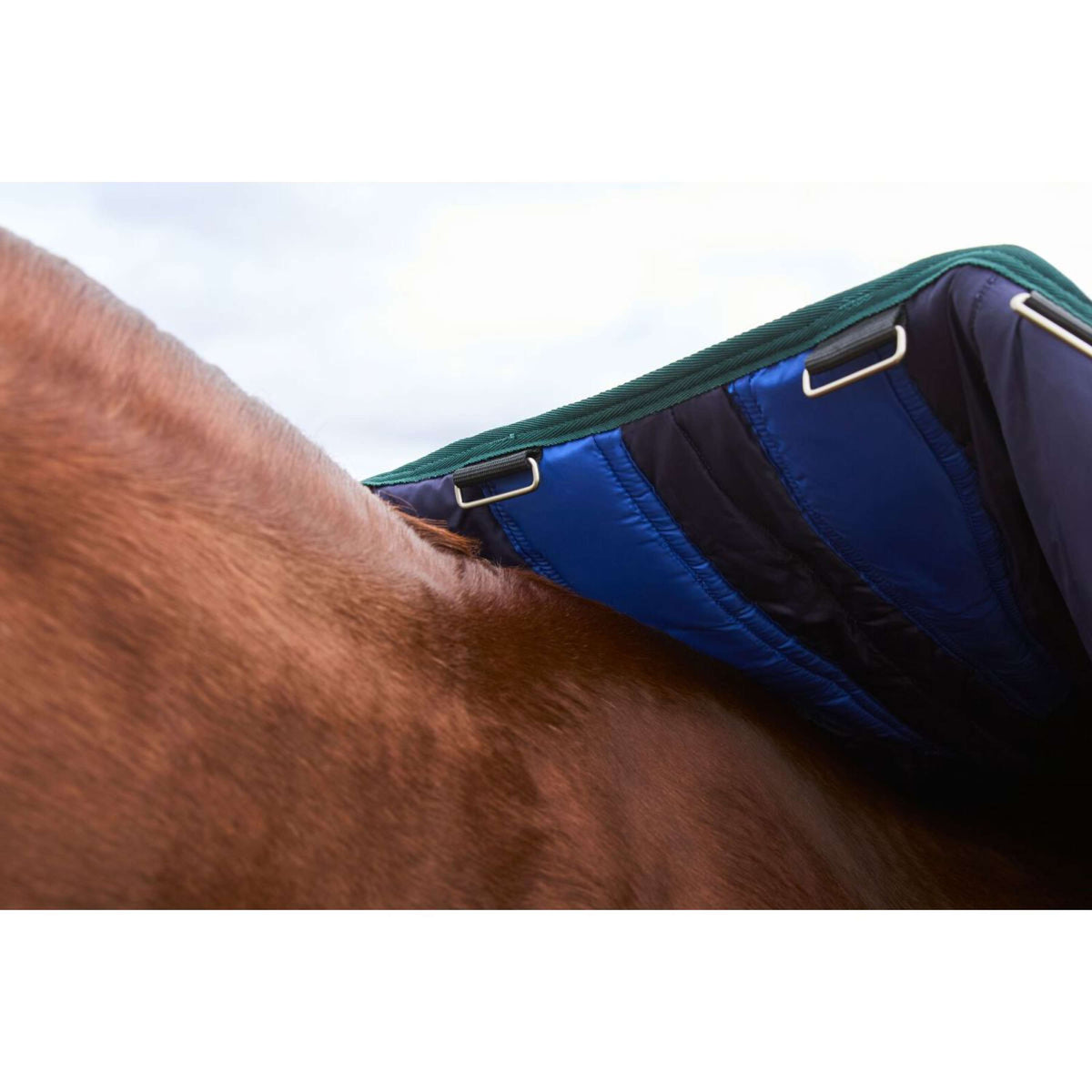 Weatherbeeta Comfitec Plus Dynamic Turnout 220 g Navy/Forest Green