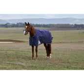 Weatherbeeta Comfitec Plus Dynamic Turnout 220 g Navy/Forest Green