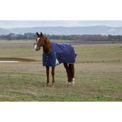 Weatherbeeta Comfitec Plus Dynamic Turnout 220 g Navy/Forest Green