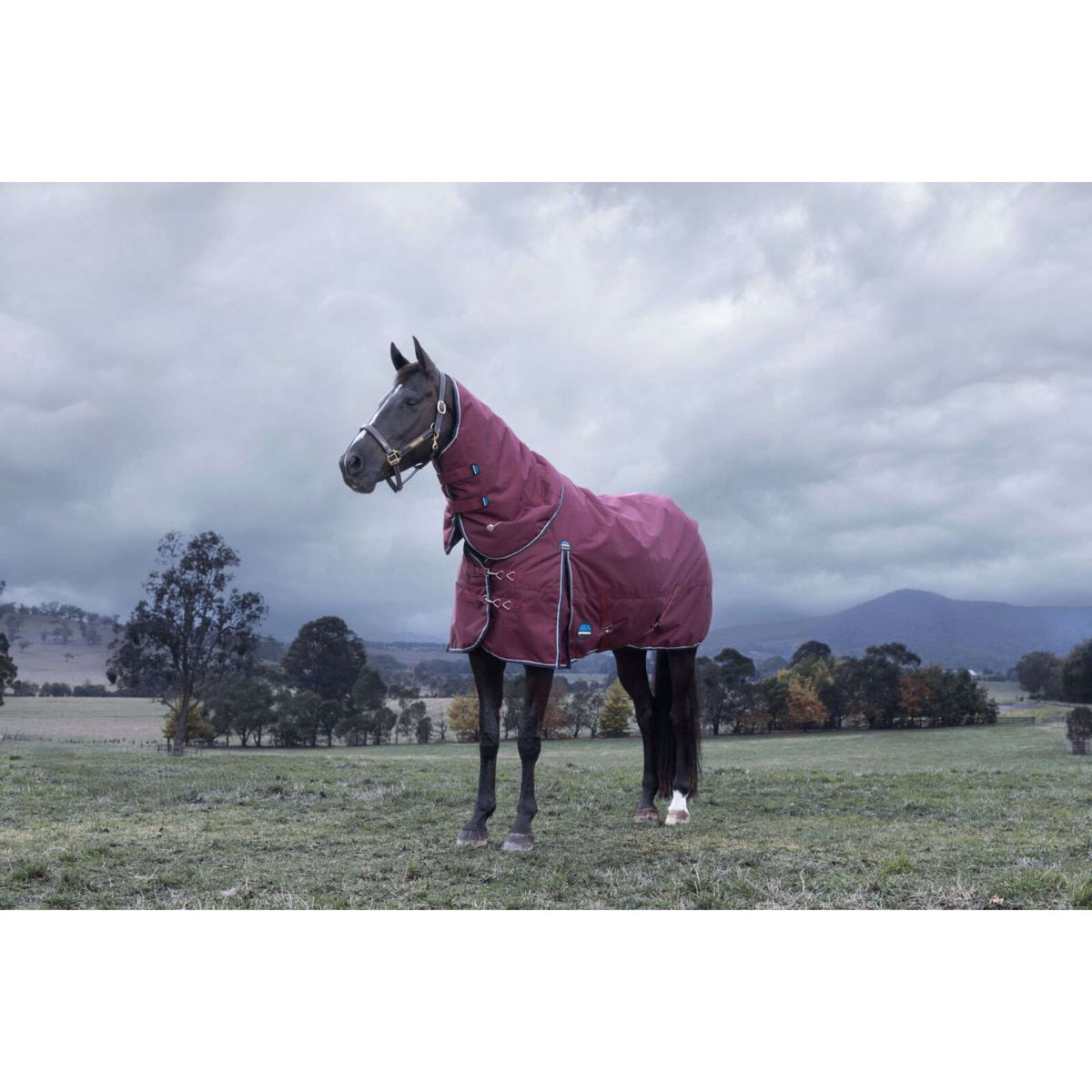 Weatherbeeta Comfitec Essential Turnout Detach-A-Neck 220 g Borgogna/Marina