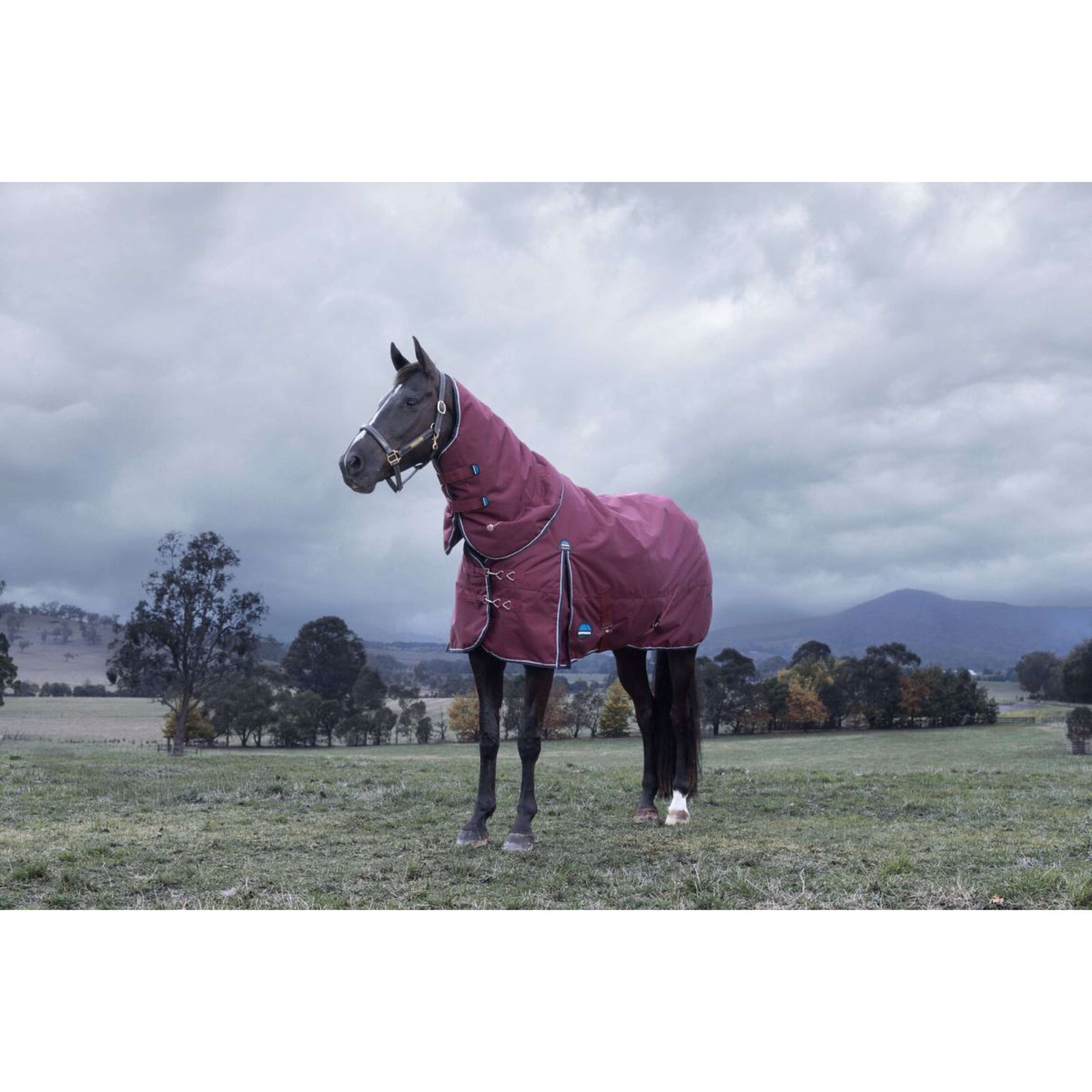 WeatherBeeta ComFiTec Essential Turnout Detach-A-Neck 220 g Borgogna/Marina