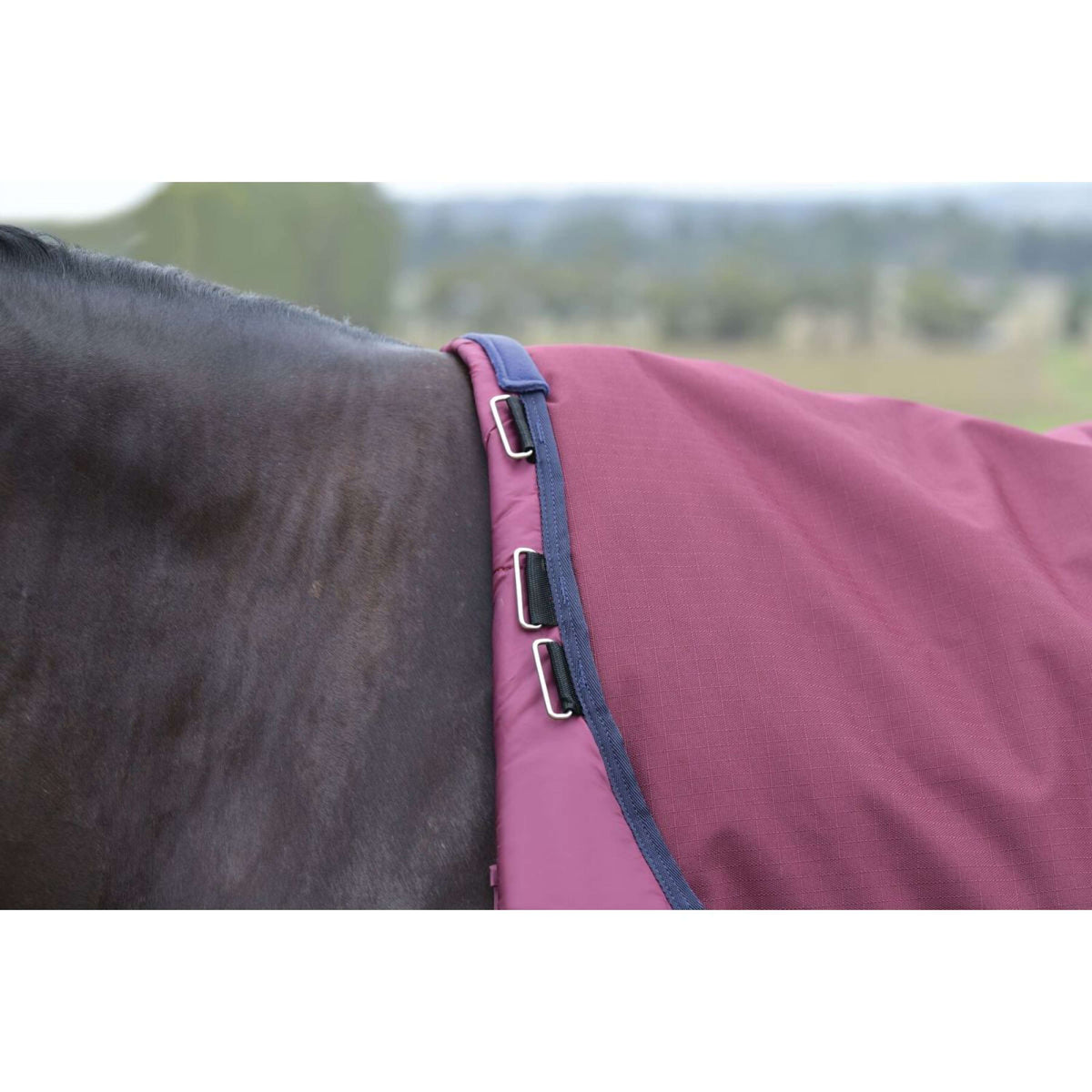 Weatherbeeta Comfitec Essential Turnout Detach-A-Neck 220 g Borgogna/Marina
