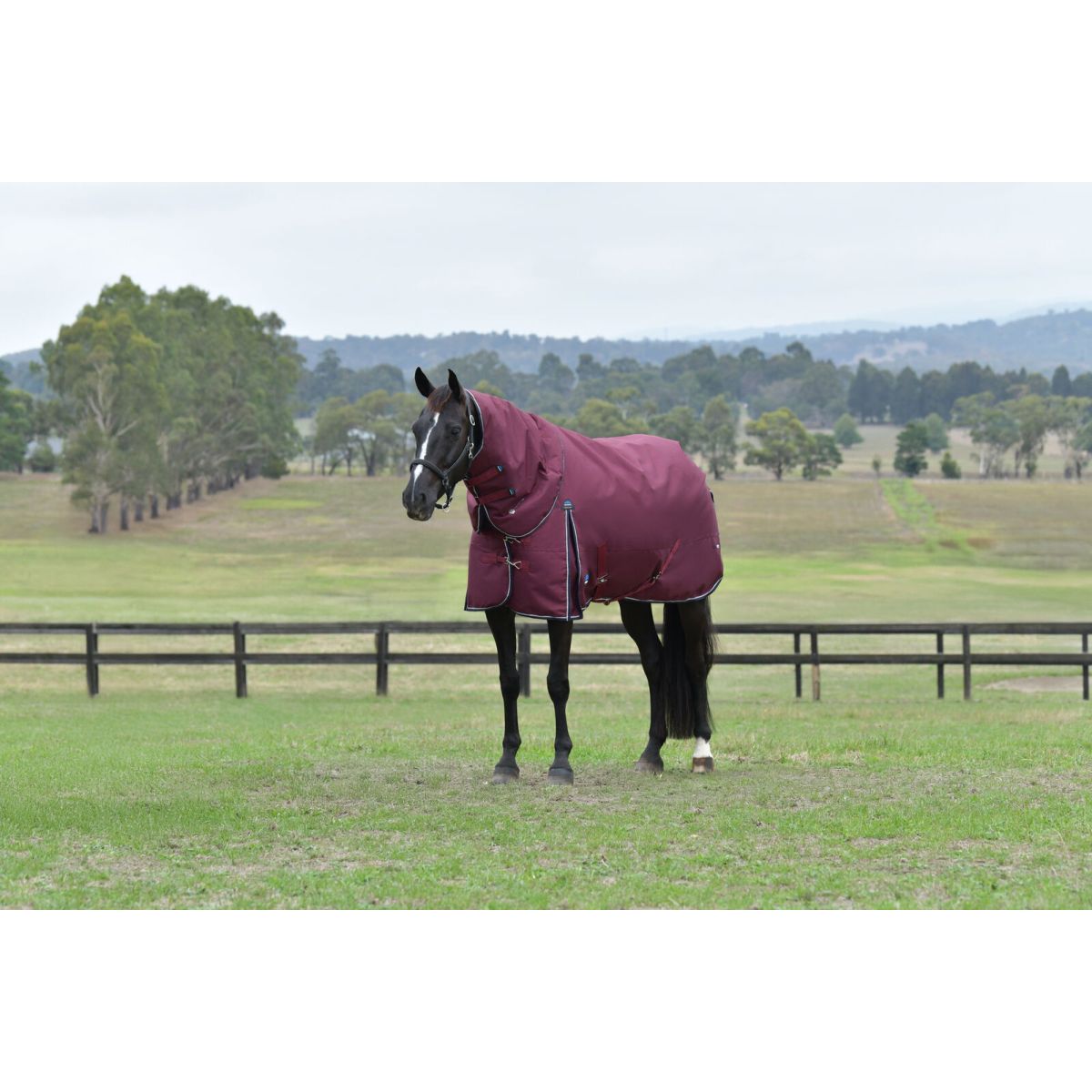 Weatherbeeta Comfitec Essential Turnout Detach-A-Neck 220 g Borgogna/Marina